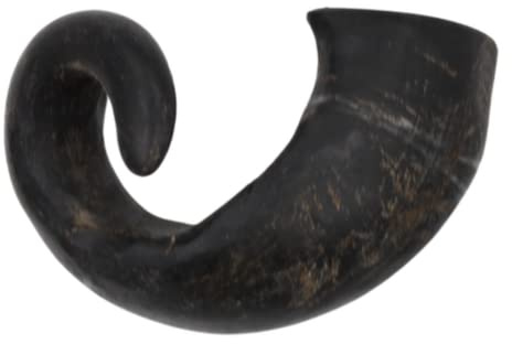 Express Pet Supplies Large Buffalo Horn Dog Treat Chew