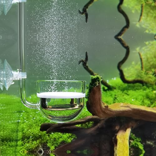 Musik Glas CO2 Diffusor für Aquarium Pflanze (Φ40mm)