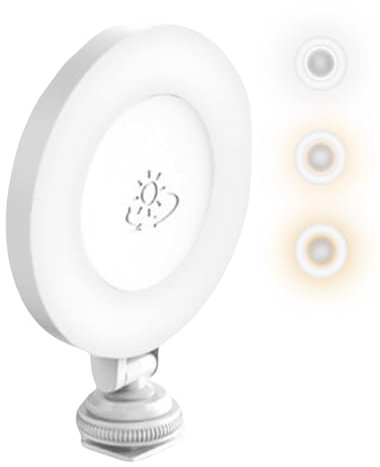 LED Supplementary Photography Light Mobile Phone Fill Light, Multi-Speed Dimming Lightweight and Portable, with 400 mAh Battery, Adjustable for Youtube, Studio, Live Streaming, Selfies（White)