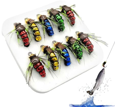 Assortiment de mouches pour truite et bar, appât de pêche à la mouche, assortiment de 10 pièces mouche sèche, kit complet de pêche à la mouche avec kit de leurres de pêche à la mouche aux couleurs