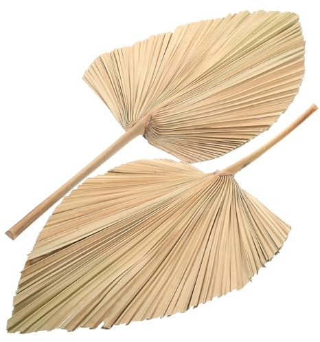 HAWILLOSCH Lot De 2 Tiges Séchées en Feuilles De Palmier Naturelles pour Décoration Intérieure