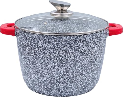 Royal Swiss Suppentopf 6,2 liter Ø24 cm Grau, Antihaft Kochtopf mit Glasdeckel, Abnehmbaren Griffen, Induktion Gas Elektro Keramik Halogen, Backofenfest