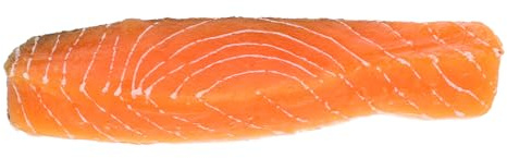 Milisten Tranche De Saumon Réaliste Modèle Alimentaire Artificiel 6.69 in Accessoire Photo Et Décoration pour Vitrine De Restaurant Sushi Présentation Culinaire Faux Aliments