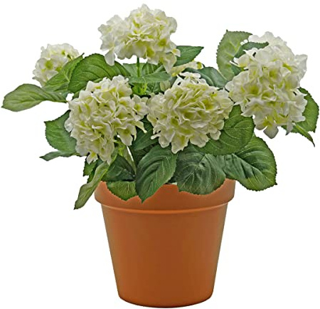 GreenBrokers Premium Quality Artificial White Hydrangea Flower Bush in Terracotta Coloured Pot (50cm) with Nine Flower Clusters for Home or Outdoor Living