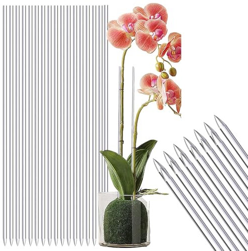 Pflanzenstützstäbe – Pflanzenstäbchen-Stütze, Acryl-Pflanzenhalter | Hochwertige, robuste Garten-Pflanzenhalter aus klarem Acryl, hochwertige Gartenstäbe, Pflanzenzubehör für Weinreben, Topfpflanzen