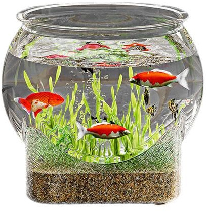 Rundes Fischglas - 16 cm Transparentes Goldfischglas - Fischglas mit breiter Öffnung - Bruchsicherer Kunststoff Aquariumschale Desktop Kugelaquarium Fischaquarium Für Den Tisch Fisch Mikrolandschaft