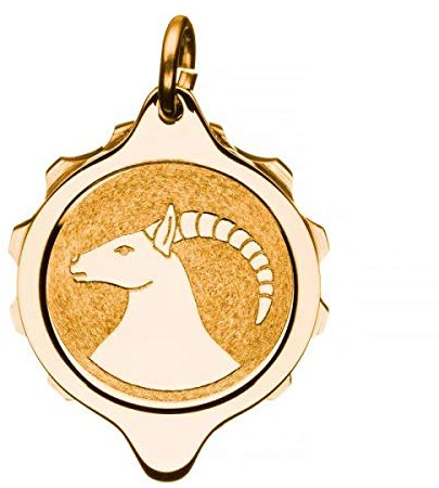 SOS Talisman Anhänger vergoldet, Sternzeichen Steinbock, Notfallkapsel für wichtige medizinische Informationen