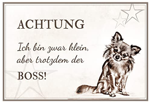 ZAUBERBILD Hundeschild Warnung | Chihuahua | Warnschild Vorsicht Hund | 25x17cm Alu