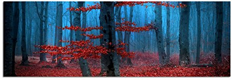 Paul Sinus Art Bilder Wand Bild - Kunstdruck 120x40cm Wald Bäume Laub Herbst Nebel