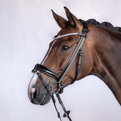 BRIDLERY Trense Velvet : Warmblut Beschläge Silber, Design Selbst designen, Farbe Braun, Größe Pony