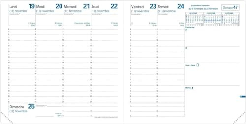 QUO VADIS - 1 Nachfüllpack für Wochenkalender Executive Terminplaner – Buchbindung – goldfarbene Scheibe – Dezember 2023 bis Dezember 2024 – Format: 16 x 16 cm