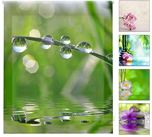 blindecor w-z-01287 – Rollo transparent, Bedruckt, Digital, 110 x 180 cm, Mehrfarbig