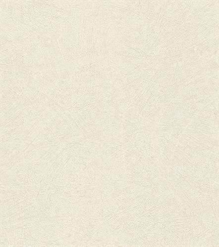 Rasch Tapeten 520231 - Vliestapete in Creme-Weiß und Silber mit 3D Struktur und Used-Look aus der Kollektion Concrete - 10,05m x 0,53m (LxB)