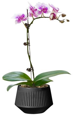 Pots à orchidées pour rempotage – Jardinière d'orchidée respirante | Système d'arrosage respirant double couche contrôle des racines pour fleurs en fleurs, vivantes, jardinage d'intérieur
