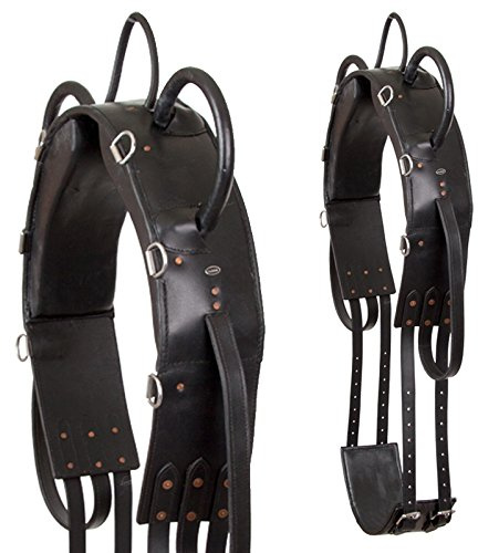 Heinick-Reitsport Qualitäts Voltigiergurt ~ Schwarz mit Metallinlet ~ Warmblut/Vollblut