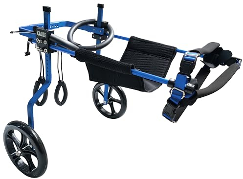 KAJILE Verstellbarer 2-Rad-Hunderollstuhl, XXL-1 Größe für behinderte Hunde Hinterbeine Rehabilitation, geeignete Höhe 50-65cm, Breite 24-32cm, Länge 35-45cm