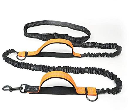 CRMY Joggingleine Hunde - Handfreie Hundeleine für Rennen, Laufen und Wandern – Bauchgurt Hundeleine - Elastische Bungee-Leine mit Griff für Hunde bis zu einem Gewicht von 25kg
