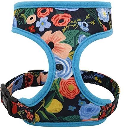 Hundegeschirr Niedlich bedrucktes Chihuahua-Geschirr for französische Bulldogge, verstellbares Welpen-Katzen-Geschirr for kleine Hunde, Weste for Mops, Yorkie, Gehtraining (Color : Blue, Size : L)