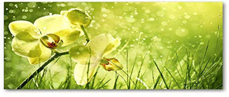 Tulup Glas-Bild Wandbild aus Glas - Wandkunst - Wandbild hinter gehärtetem Sicherheitsglas - Dekorative Wand für Küche & Wohnzimmer 125x50 - Blumen & Pflanzen - Orchidee - Grün