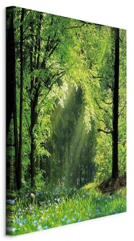 murando - Akustikbild Schalldämmung Bäume Wiese, 60x90 cm, 1-teilig, Büro | Verbessert Raumakustik, reduziert Hall, ideal fürs Büro oder Wohnzimmer, hochwertige Verarbeitung, schnelle Montage, stilvoll