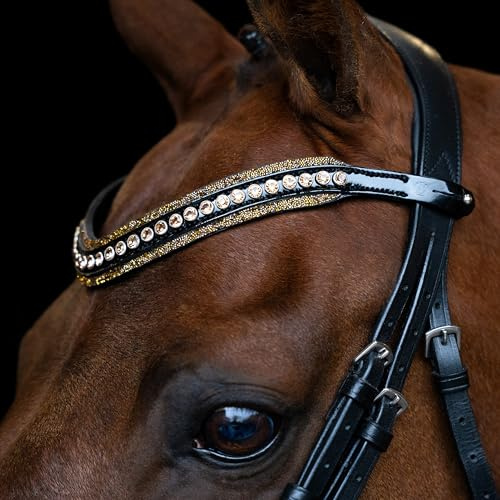 Imperial Riding Stirnriemen IRH Maxima, Stirnband aus Leder mit Glas-Strasssteinen und Stiftverschluss, Braun, Cob