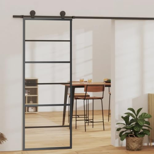 Schiebetürsystem mit Beschlag ESG-Glas & Aluminium 76x205 cm inklusive Schiebetür Glastür Montagezubehör
