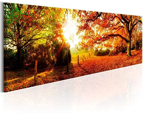 Visario Leinwandbild Wald 120x40 cm 5743 Natur Wandbild auf Leinwand Holzrahmen fertig gerahmt Kunstdruck Waldmotiv Bäume Grün Landschaft Wohnzimmer Schlafzimmer Büro Wanddekoration Modern Bild 5743