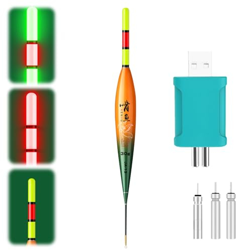Led Posen Angelzubehör | 10g/20g/30g Led Posen Angeln Mit Bissanzeiger | Posen Angeln Schwimmer Angeln | Angelposen Mit LED Leuchten Für Das Nachtfischen,Zum Tauchgebiet Angeln (C)