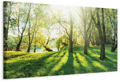 B&D XXL - Akustikbild Natur Bäume Wald, 120x40 cm, 1-teilig, Schallschutz