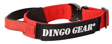 Dingo Gear Hundehalsband Cobra mit professioneller Sicherheitsschnalle starkem Griff und Etikett mit Klettverschluss für Verteidigungstraining Halsumfang 43-47 cm Rot (S03925)