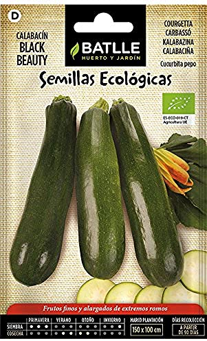 Beauté noire aux courgettes - ÉCO