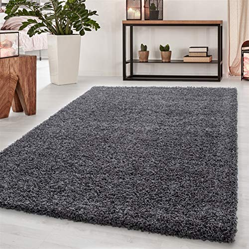 Ayyildiz Hochflor Teppich Flauschiger Langflor, Shaggy Flokati - Rechteckig, ca. 50 mm Florhöhe - Pflegeleichter Wohnzimmerteppich, Größe:200 x 290 cm, Farbe:Grau
