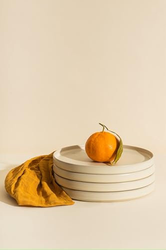 V&M Catering Lot de 4 assiettes porcelaine rond couleur beige, adapté au Lave-vaiselle et micro-onde (4)