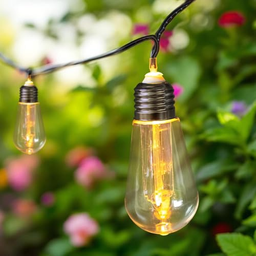 LED Lichterkette mit 10 LED Glühbirnen transparenten kabelgebunden - 450 cm - Garten Dekobeleuchtung wasserfest mit Timer - Party Pavillon Terrasse Balkon Deko Beleuchtung Stimmungslicht