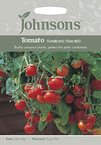 Johnsons Tomato Tumbling Tom Red