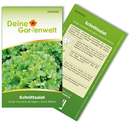 Schnittsalat Verde ricciolina da taglio Samen - Lactuca sativa - Schnittsalatsamen - Gemüsesamen - Saatgut für ca. 1.500 Pflanzen