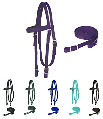 Majestic Ally Stirnband mit Zügel, Nylon, gepolstert, für Pferde, Violett