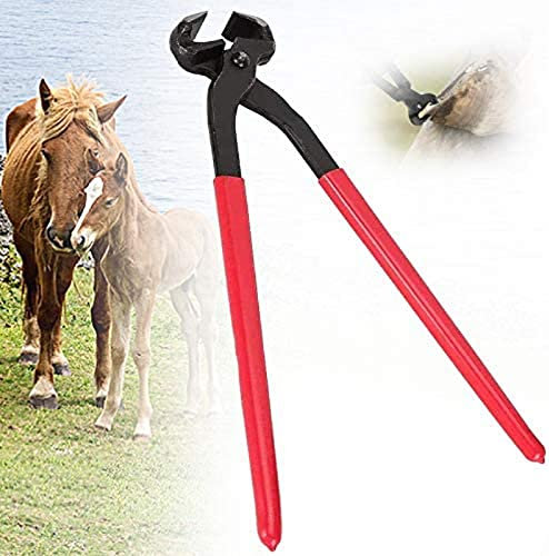 Tronchese per Zoccoli per Maniscalco, Taglia Zoccoli per Cavalli, Pinze per Tagliare A Ferro di Cavallo, Taglia Zoccoli per Ferri di Cavallo, Forniture Equestri, Adatte per Cavalli, Bovini, Pecore