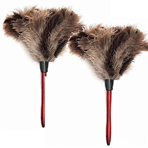 Paquete de 2 plumeros de plumas de avestruz de 14 pulgadas de largo, cabeza flexible para limpiar ventiladores de techo, persianas, pantallas de computadora, estanterías y más