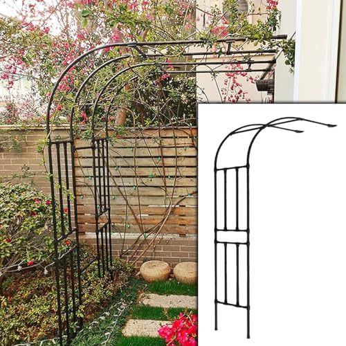 Rosenbogen Halbrund, Gartenbogen aus Metall wetterfest, Torbogen Rankhilfe für Freistehend Kletterrosen und Clematis Rosenspalier W220xH240cm W240xH240cm W250xH240cm ( Farbe : Schwarz , Größe : W180xH