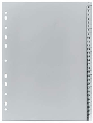 FALKEN PP Kunststoff-Register. Plastikregister für DIN A4 225 x 297 cm | volle Höhe Druck 1-31 31 Blatt grau Ringbuch Ordner Trenner
