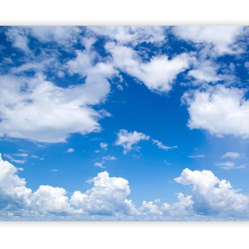 Fototapete - Vlies Himmel, 350x270 cm, Schlafzimmer, Wohnzimmer, 3D-Effekt | Full HD Druck, 3D-Effekt, lichtbeständige Farben, ideal fürs Wohn- oder Schlafzimmer, schnelle Montage, lichtbeständig, edel
