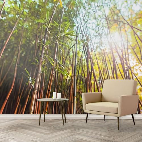 Fotomurales Decorativos Bambú Papel Pintado 450x315 cm 3D Mural Bosque de Bambú Murales Póster Pared No Tejido Dormitorio Salón Paredes Decoración Fotomural Panorámico q.2388