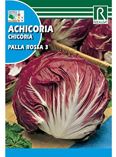 Semillas de Achicoria palla rossa 3