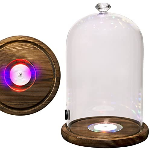homia Smoking Gun Accessory LED lights Glass Dome 9 x 5.7 Lid Wooden Base - Glass Smoke infuser Cover Lid for Cocktail Smoker - Dome for Cold Smoke, Smoking Cloche for Drinks