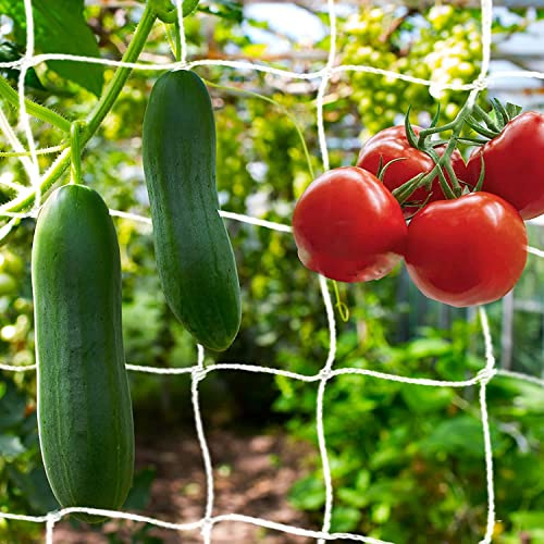 KINGLAKE Ranknetz für Kletterpflanzen, Gurkennetz 1.67X10M, Rankhilfe Gurken Netz, Pflanzennetze Kletternetz, Hochbeet Rank Netz, Rankgitter für Gewächshaus Garten Bohnen Tomaten-Weiß