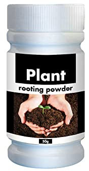 Plant Rooting Tool Multifunction Practical Portable for Vegetables Fruit Trees and Berries