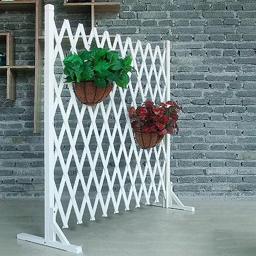 Recinzione da Giardino Griglia per Privacy da Giardino per Esterni Recinzione in Legno telescopica Griglia divisoria per Esterni Struttura per arrampicarsi su Piante Decorative (160 * 80 cm)