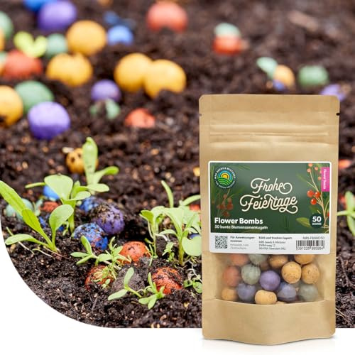 Flower Bombs: Samenbomben mix Frohe Feiertage! - 50x handgemachte und farbenfrohe ‘Seed Bombs’ - Nachhaltig und 100% ökologisch - Nur ungiftige Pflanzen - Kreative Geschenkidee