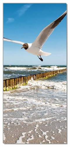 posterdepot Türtapete Türposter Fliegende Möwe am Strand - Größe 93 x 205 cm, 1 Stück, ktt0264